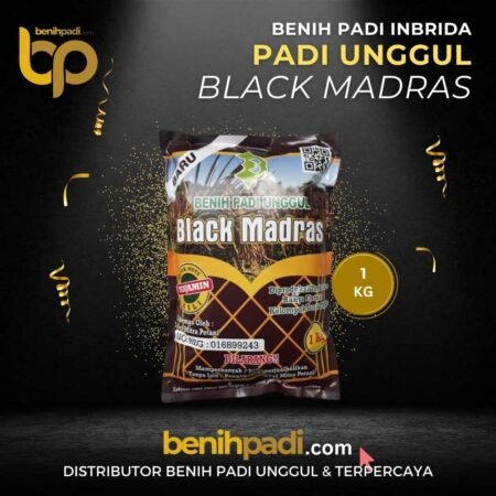 Benih Padi Inbrida Merk BLACK MADRAS