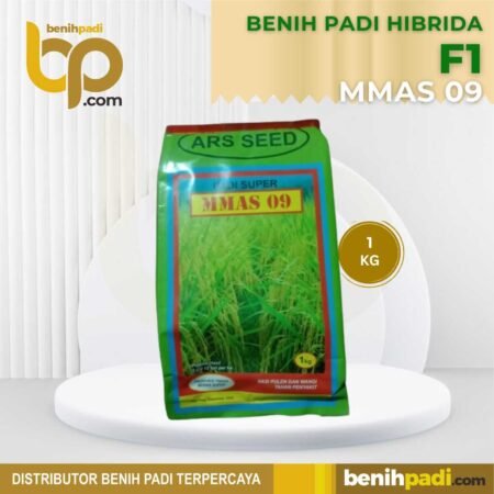 Benih Padi Hibrida Merk F1 MMAS 09