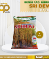 DISTRIBUTOR BENIH PADI UNGGUL & TERPERCAYA (5)
